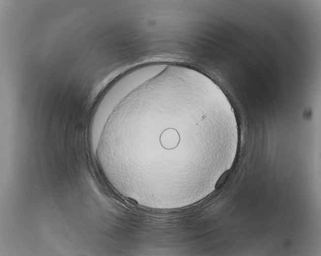 X0000111520348200908251142