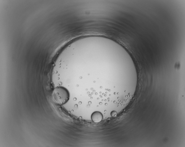 X0000111520351200908251142