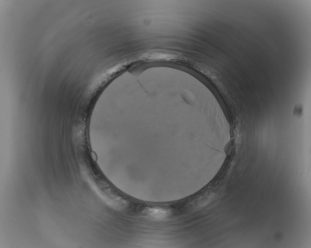 X0000111520352200908251142
