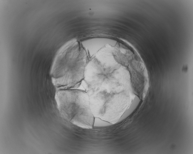 X0000111520353200908251143