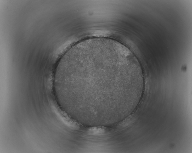 X0000111520354200908251143