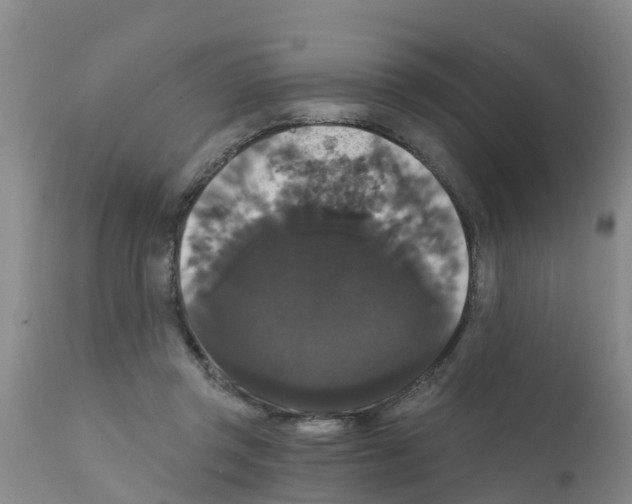 X0000111520357200908251143