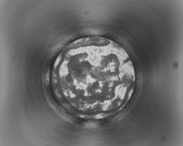 X0000111520358200908251143