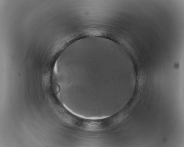 X0000111520359200908251143