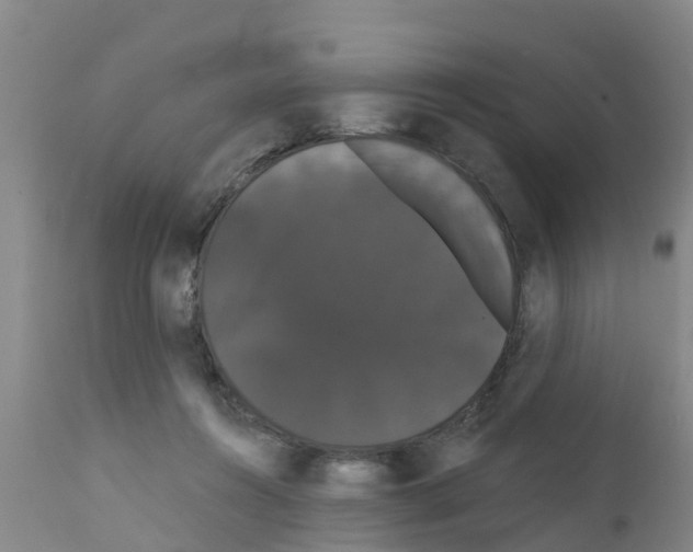 X0000111520360200908251143