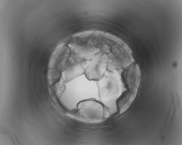 X0000111520361200908251143