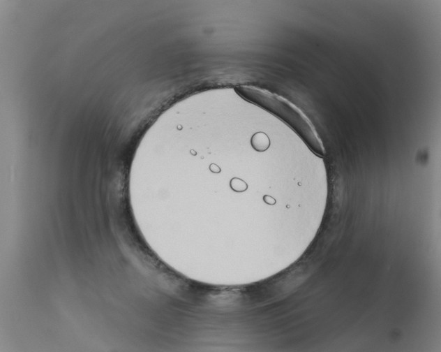 X0000111520362200908251143