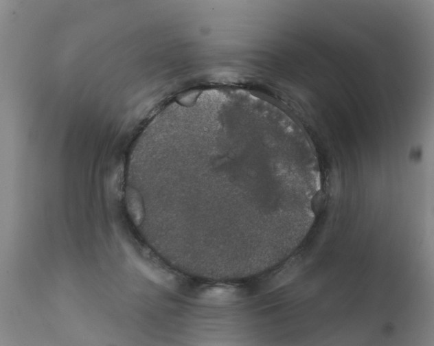 X0000111520364200908251143