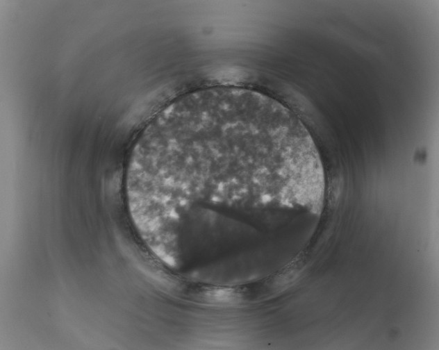 X0000111520365200908251143