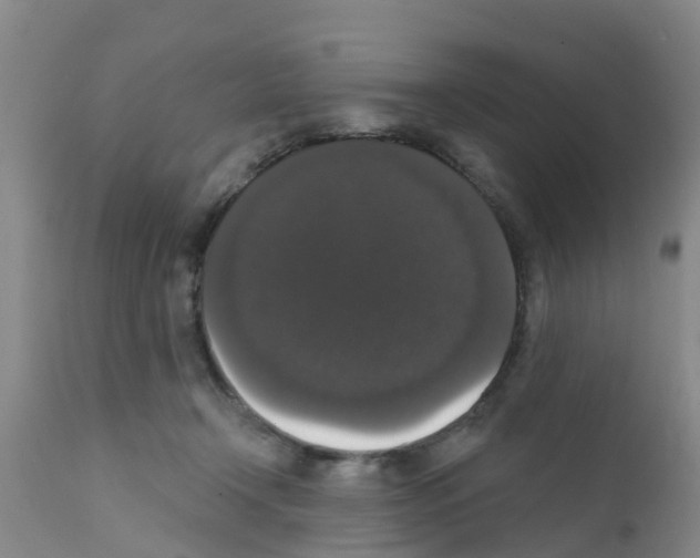 X0000111520366200908251143