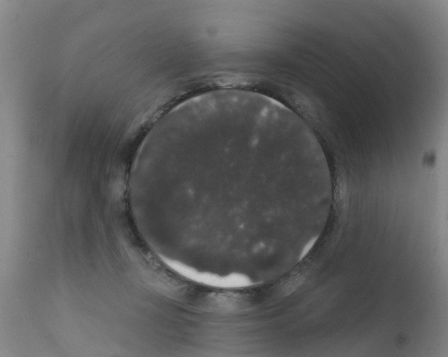 X0000111520367200908251143