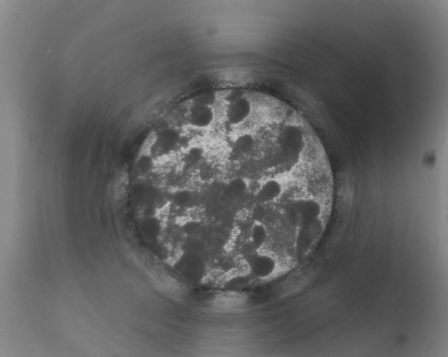 X0000111520369200908251143