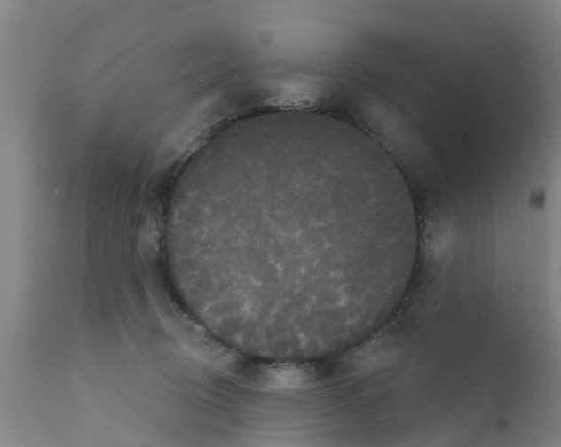 X0000111520370200908251143
