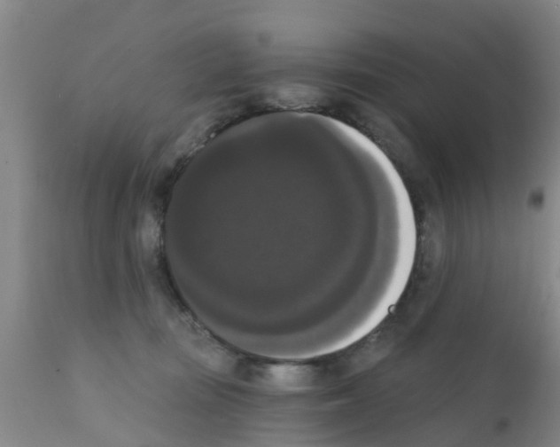 X0000111520371200908251143