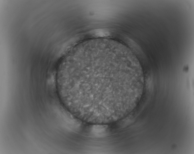 X0000111520373200908251143