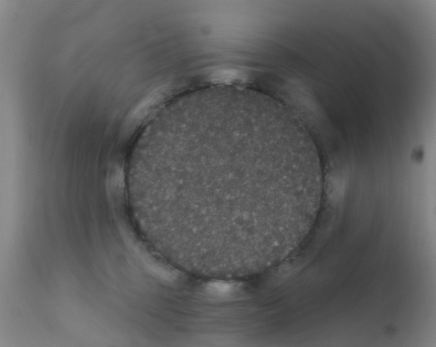 X0000111520375200908251143