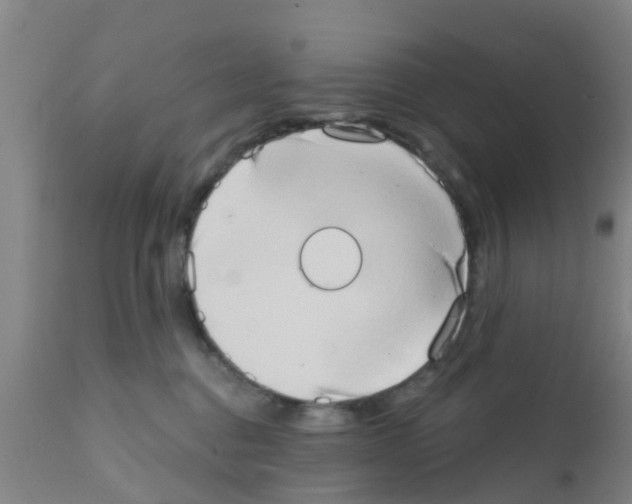 X0000111520376200908251143