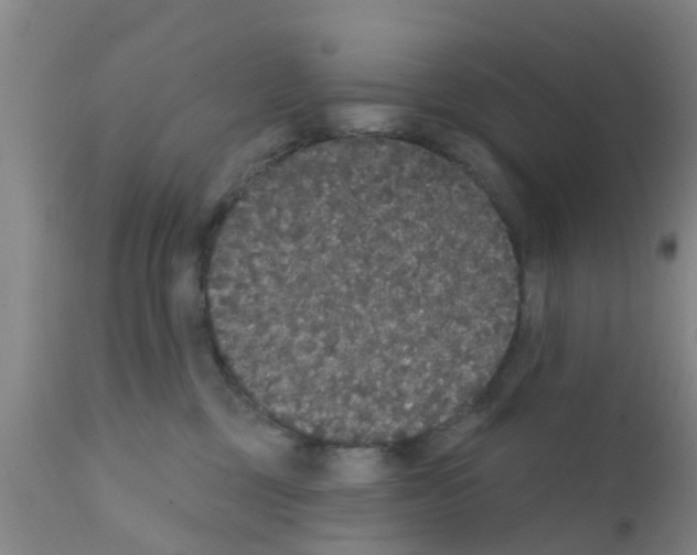 X0000111520377200908251143
