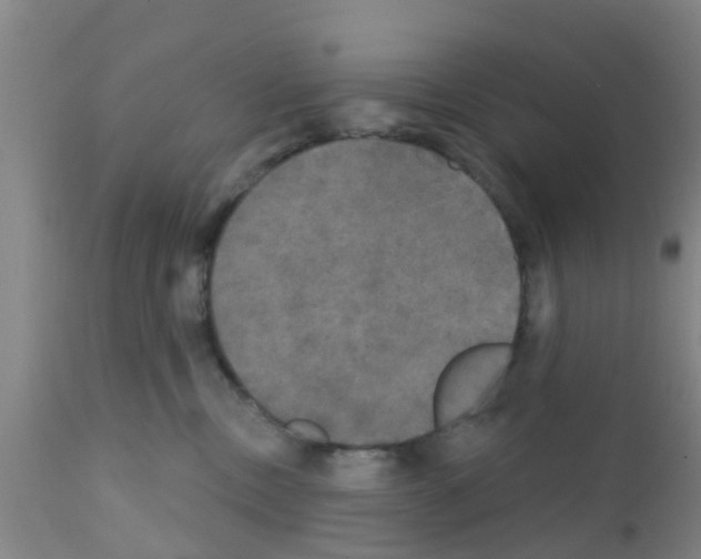 X0000111520378200908251143