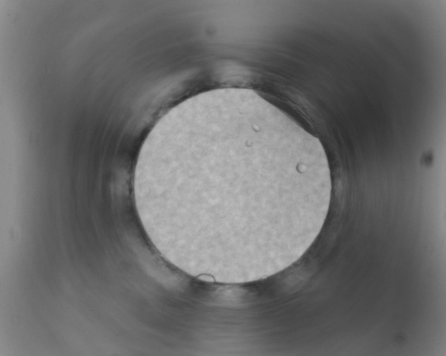 X0000111520379200908251143