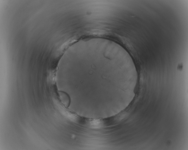 X0000111520383200908251143