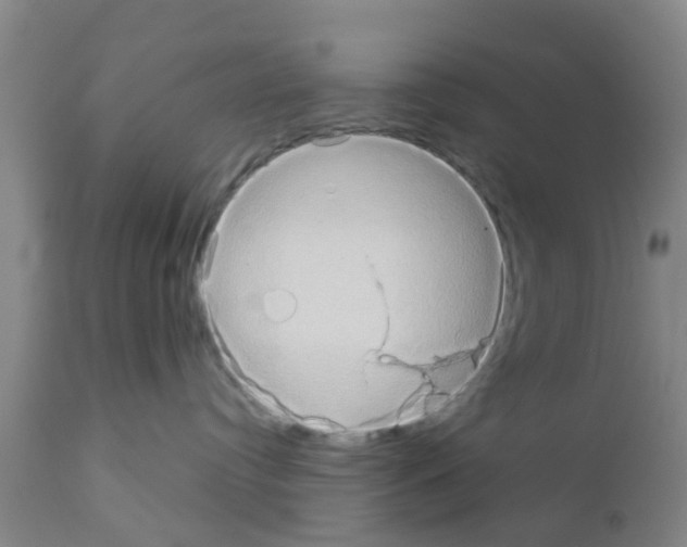 X0000111520384200908251143