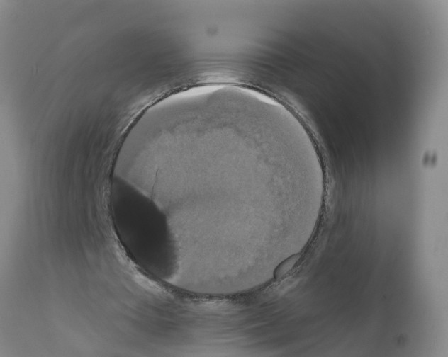 X0000111520385200908251142