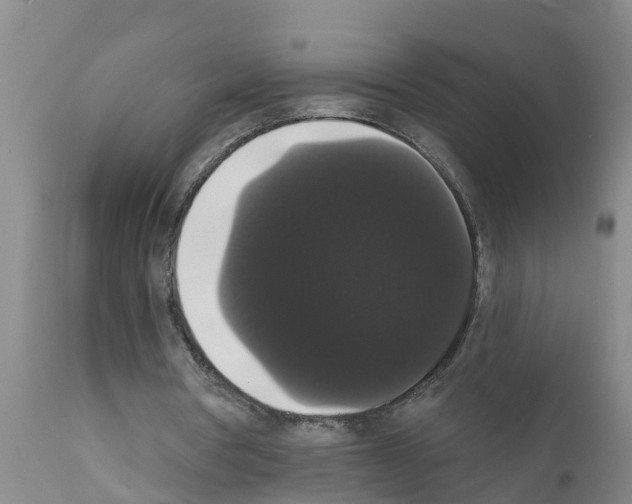 X0000111520386200908251142