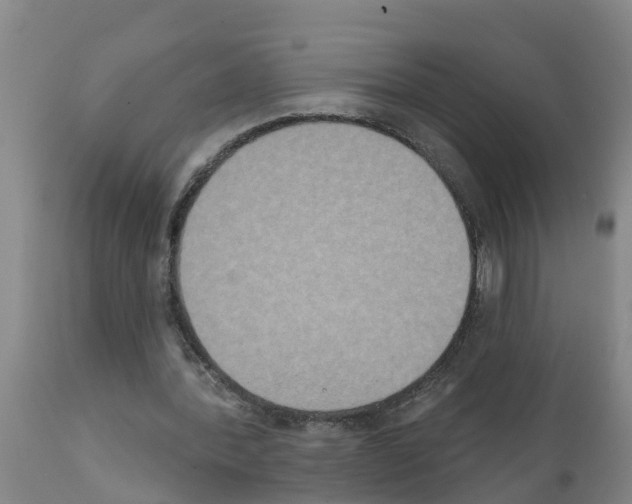X0000111520388200908251142