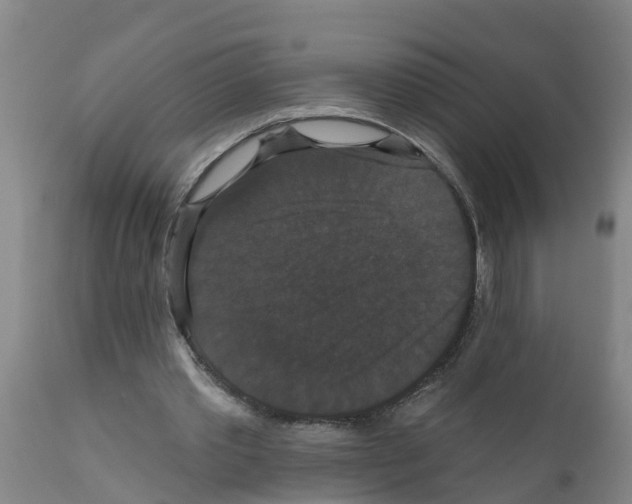 X0000111520389200908251142