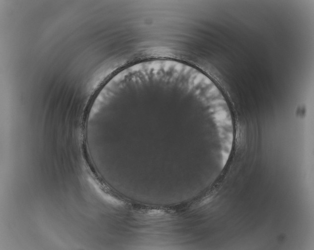 X0000111520390200908251142