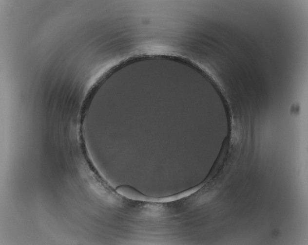 X0000111520391200908251142