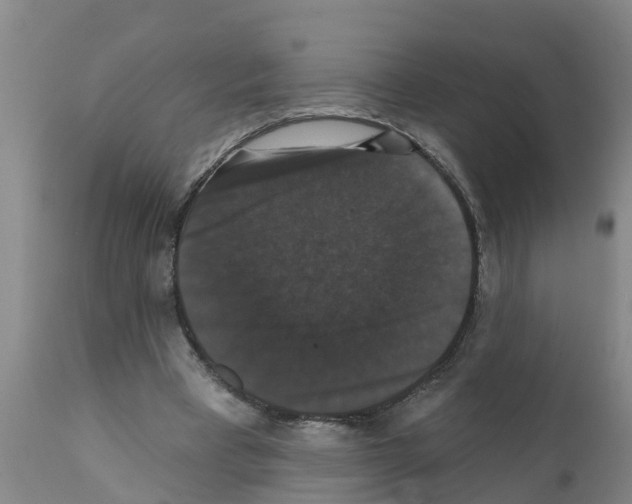 X0000111520393200908251142