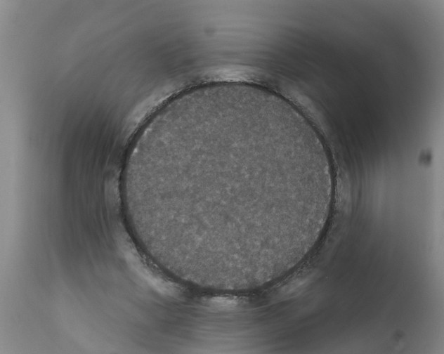 X0000111520394200908251142