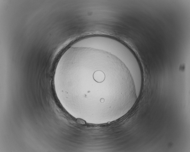 X0000111520395200908251142