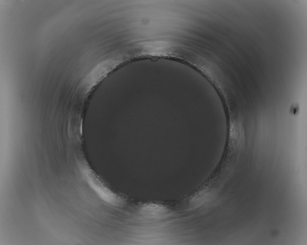 X0000111520397200908251142