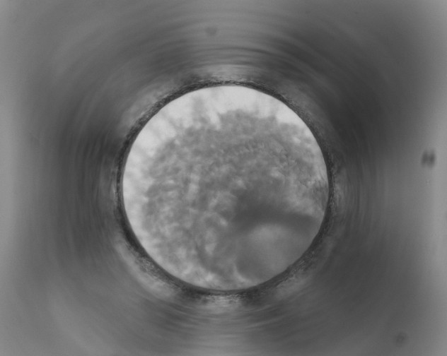 X0000111520398200908251142