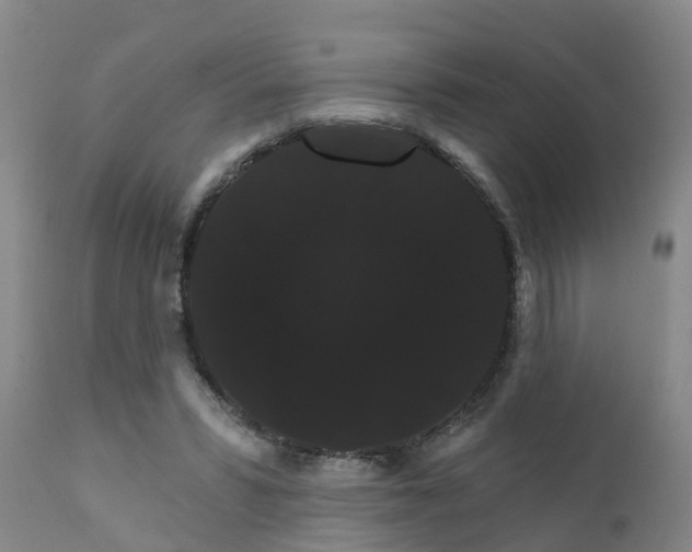 X0000111520399200908251142