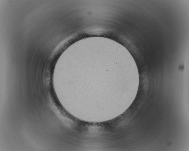 X0000111520400200908251142