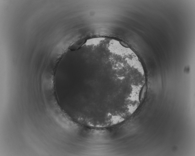 X0000111520401200908251142