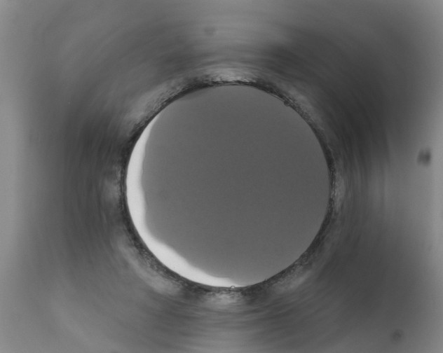 X0000111520402200908251142