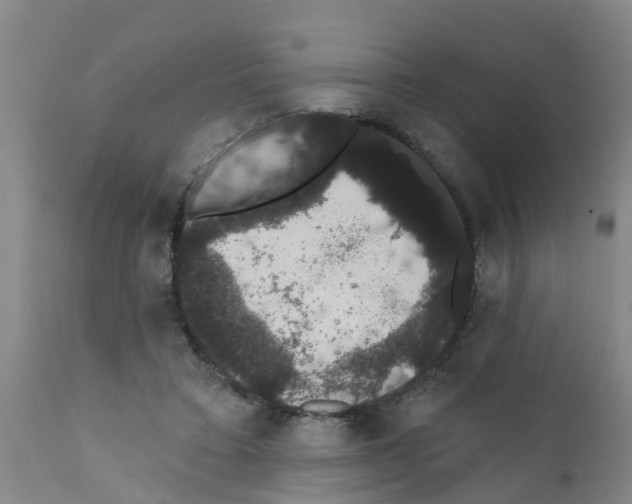 X0000111520403200908251142