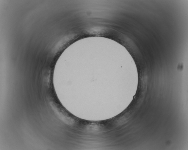 X0000111520404200908251142
