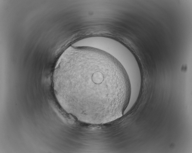 X0000111520405200908251142