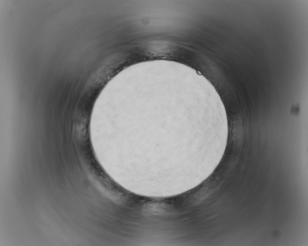 X0000111520408200908251142