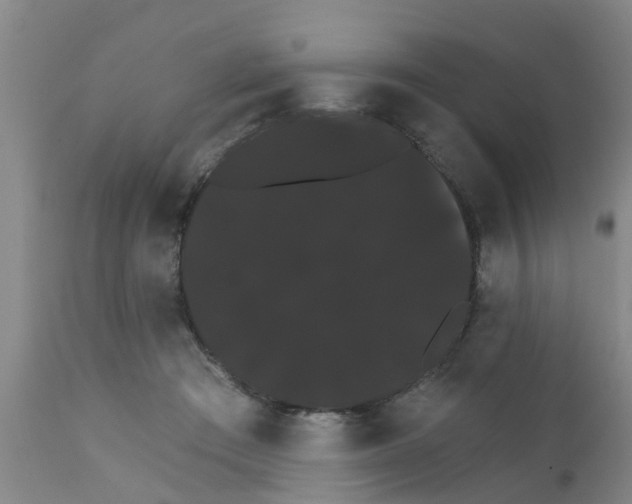 X0000111520409200908251142