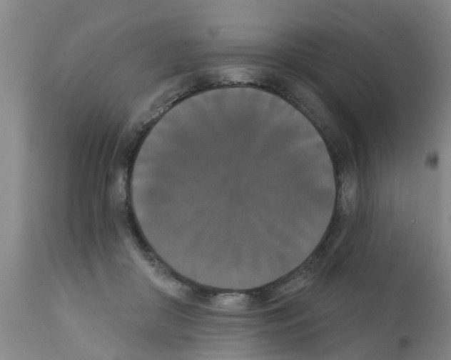X0000111520410200908251142