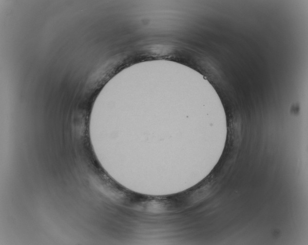 X0000111520412200908251142