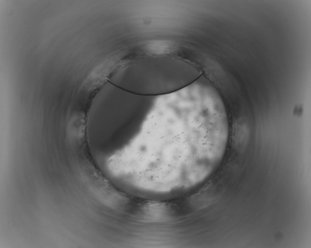 X0000111520413200908251142
