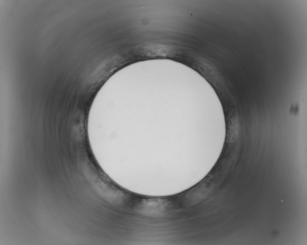 X0000111520414200908251142